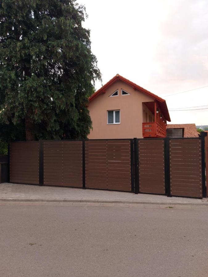 Anna Vendeghaz Hotel Praid Bagian luar foto